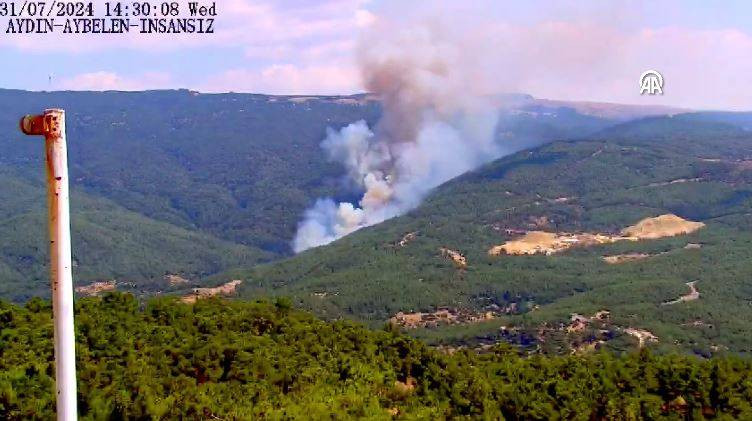 Aydın’ın Çine ilçesinde orman yangını - Resim: 12